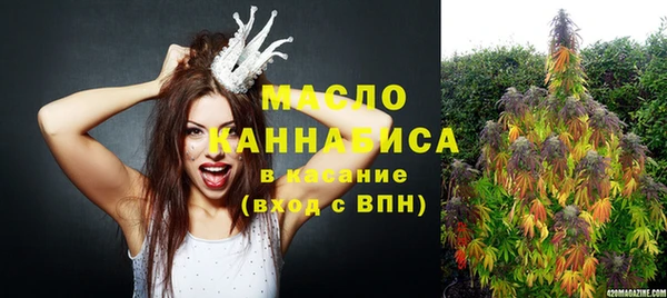 молекула духа Бежецк