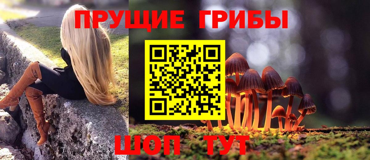 Серпухов  магазин  наркотиков  Вход с VPN  Псилоцибиновые грибы MAGIC MUSHROOMS 