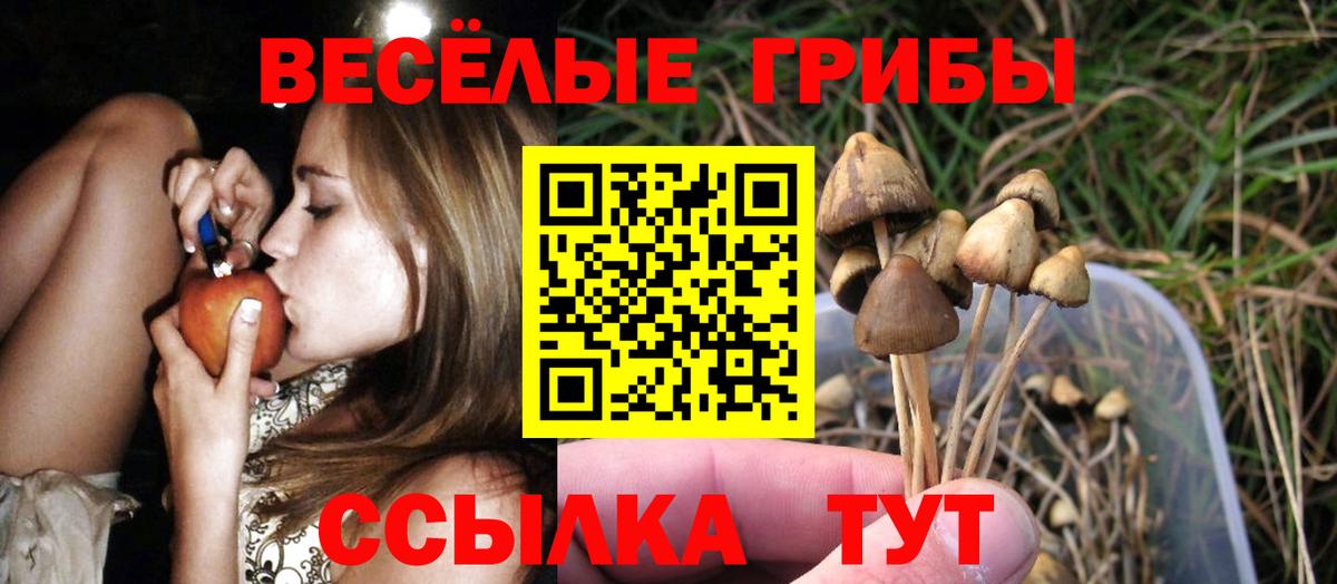 Псилоцибиновые грибы Psilocybe  Серпухов 